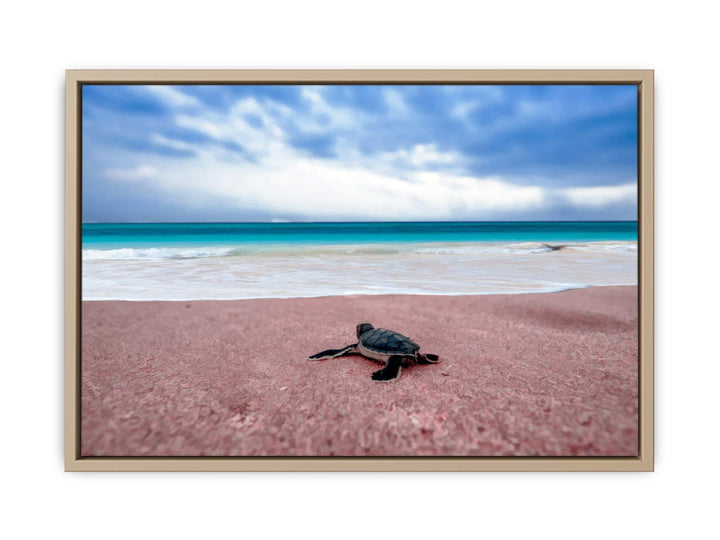 Turtle on Beach  Painting 