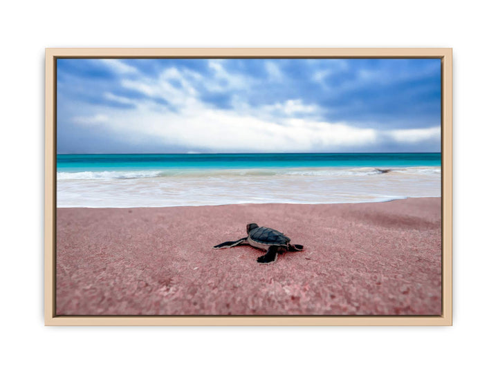 Turtle on Beach  Painting 