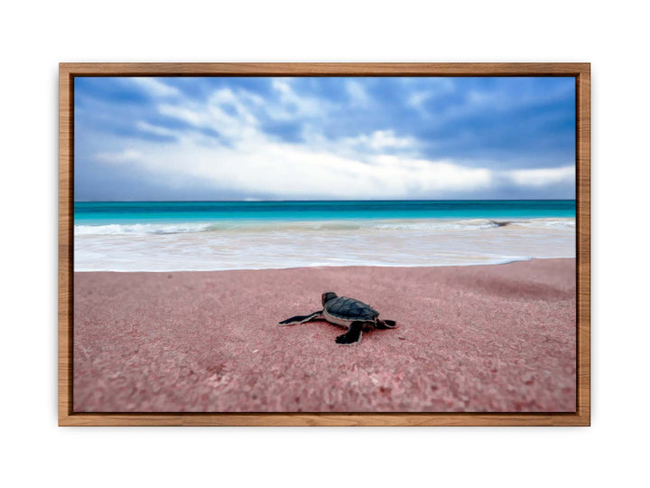 Turtle on Beach  Painting 
