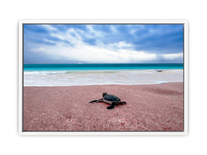 Turtle on Beach  Painting 