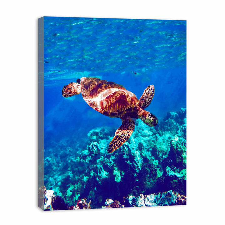 Sea Turtle Original Painting 