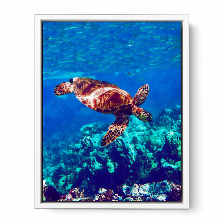 Sea Turtle Original Painting 