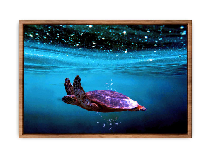 Sea Turtle Artwork 