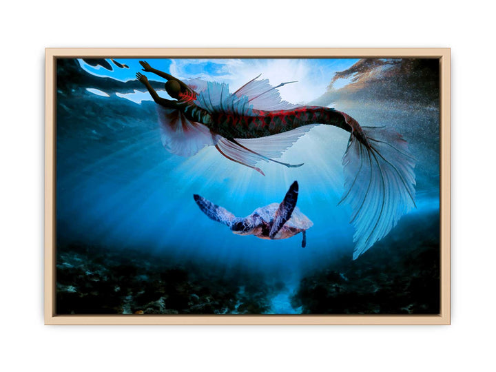 Turtle  and Fish Art 