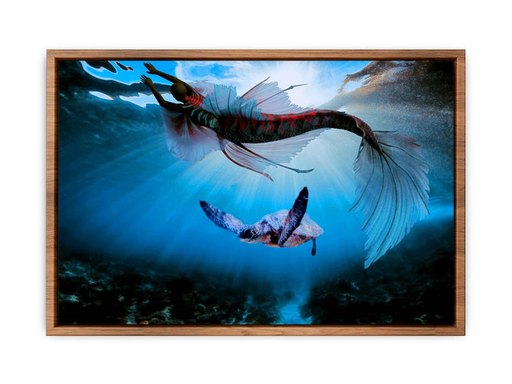 Turtle  and Fish Art 