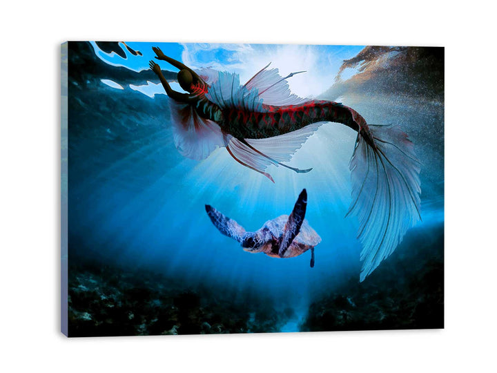 Turtle  and Fish Art 
