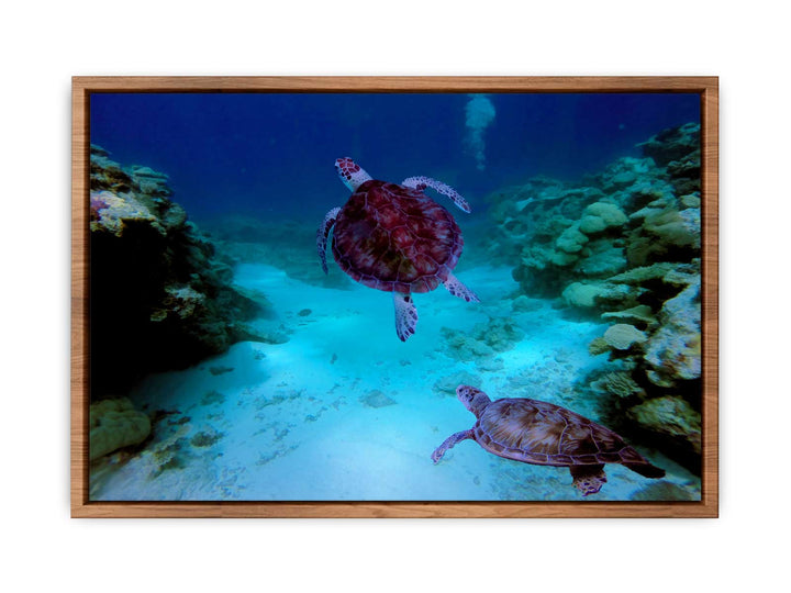 Deep Sea Turlte Painting 