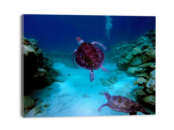 Deep Sea Turlte Painting 