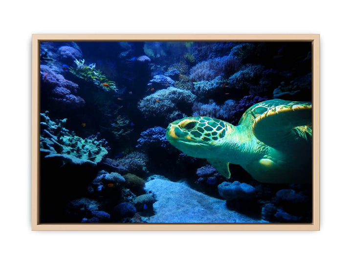 Turtle  Art Painting 