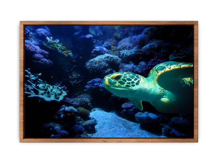Turtle  Art Painting 