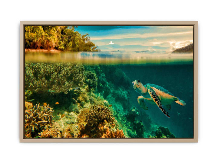 Turtle Painting Art 