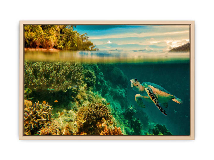 Turtle Painting Art 