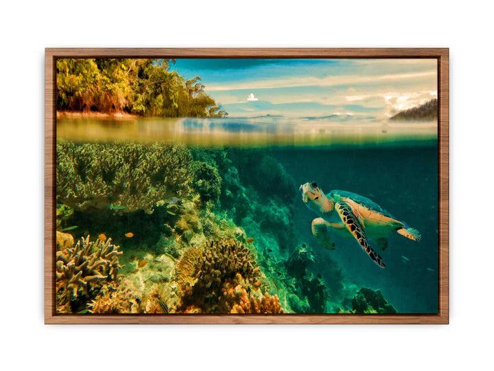Turtle Painting Art 