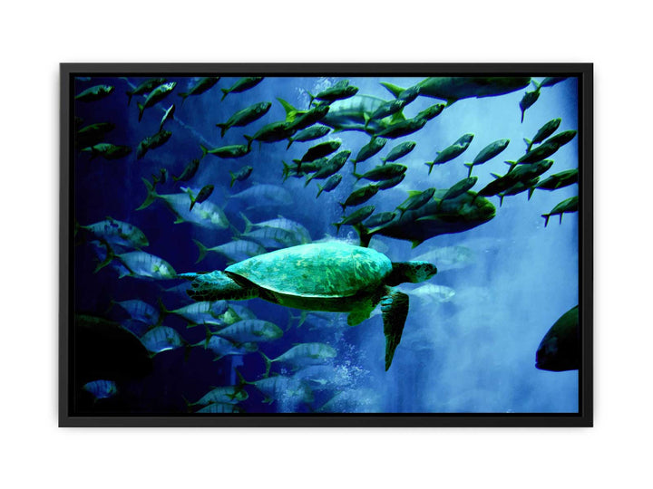 Turtle  and Fish Painting 