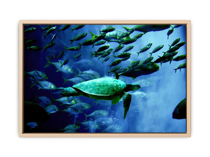 Turtle  and Fish Painting 