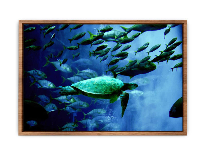 Turtle  and Fish Painting 