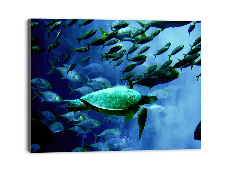 Turtle  and Fish Painting 