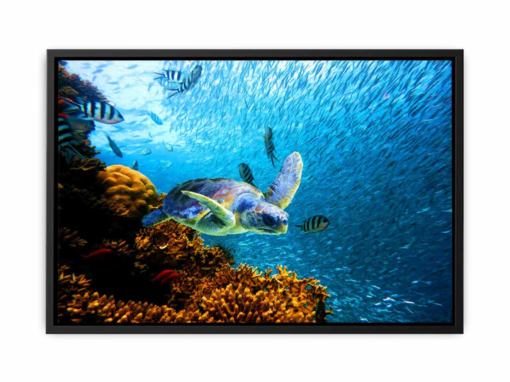 Turtle  art Oil Painting 