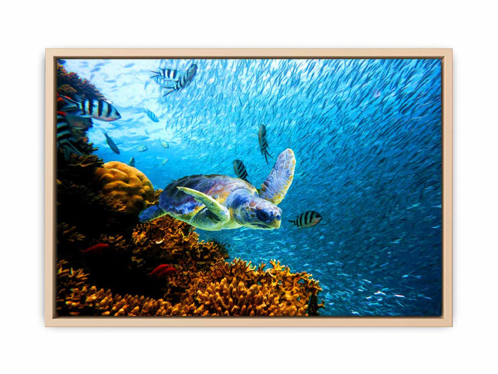 Turtle  art Oil Painting 