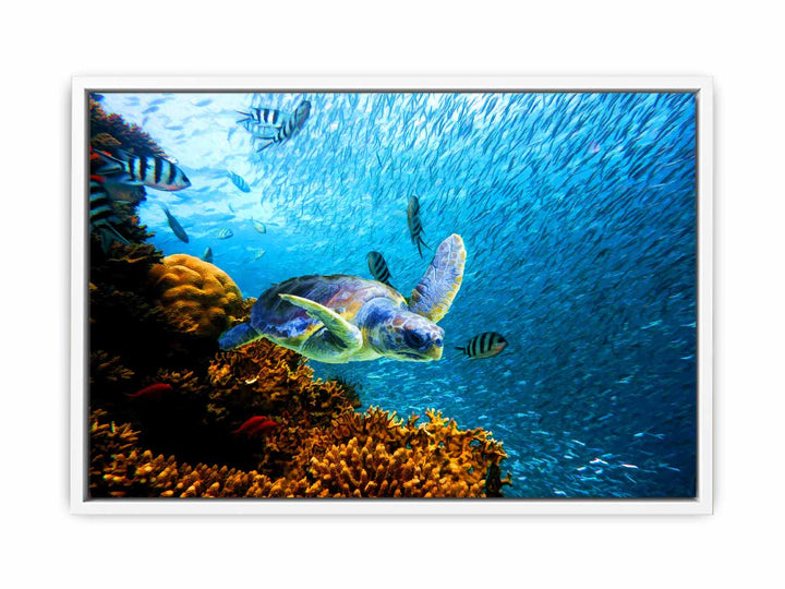 Turtle  art Oil Painting 