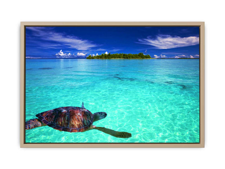 Turtle  in Sea Painting 