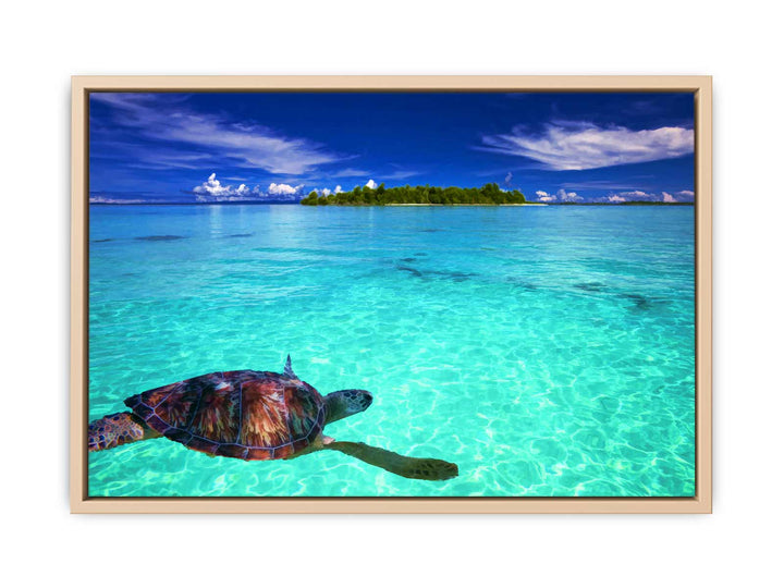 Turtle  in Sea Painting 