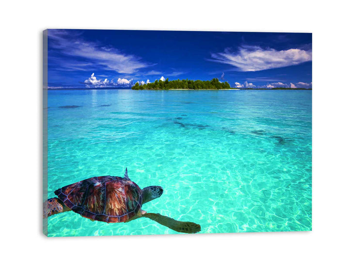 Turtle  in Sea Painting 