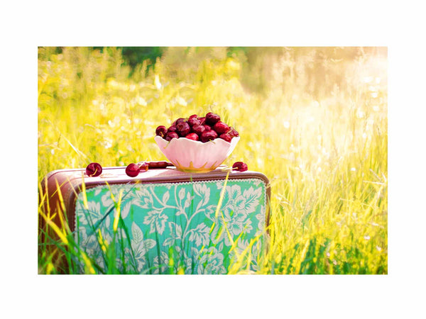 Berries Painting