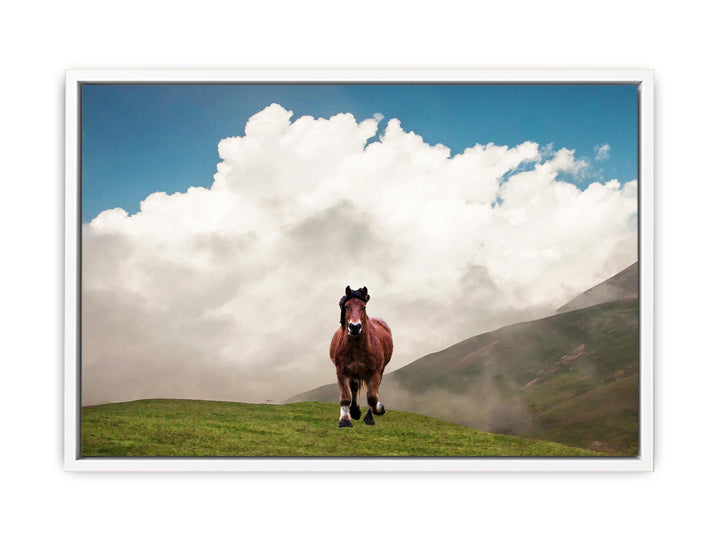 Horse Painting 