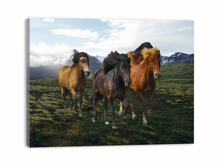 Mountian Horse Painting 