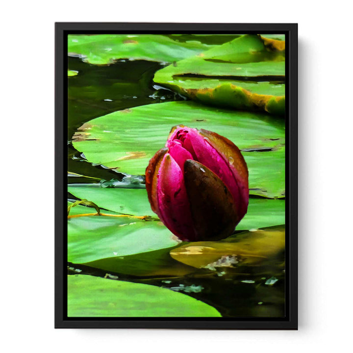 Flower Bud Pond Painting 