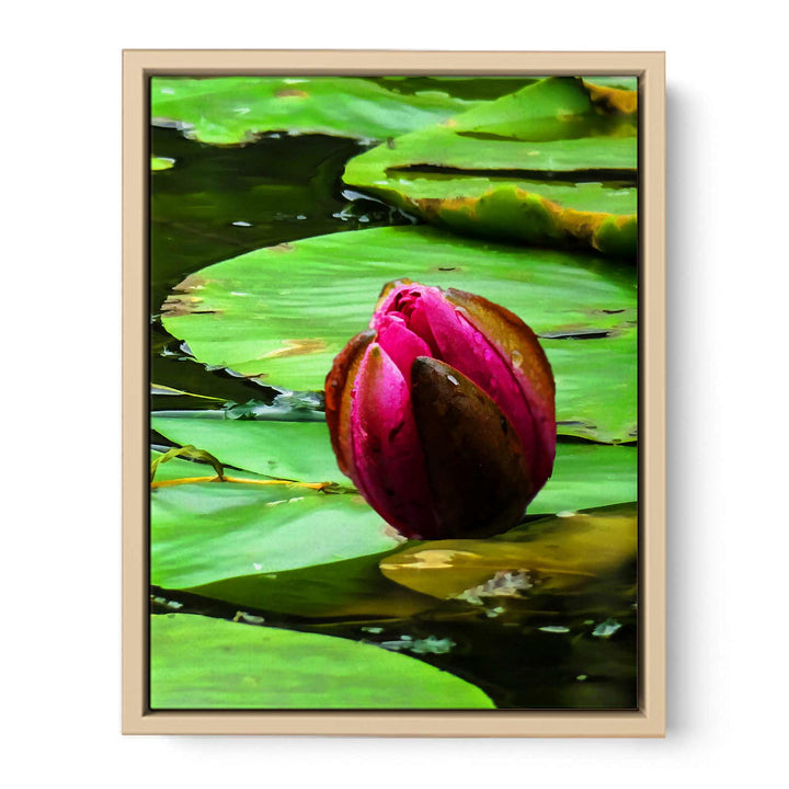 Flower Bud Pond Painting 