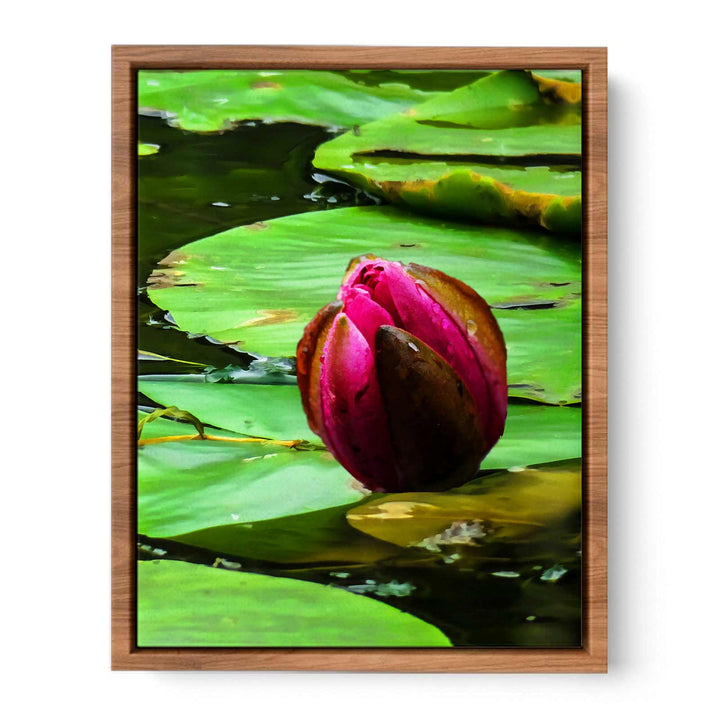Flower Bud Pond Painting 