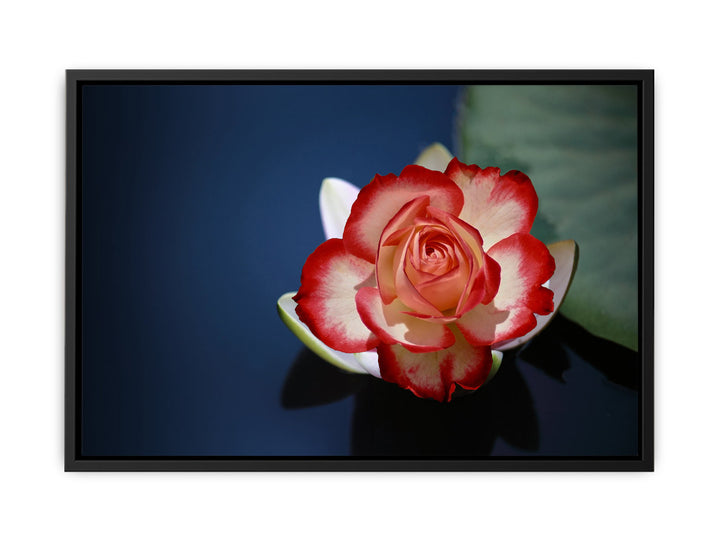 Lily Flower Painting  2 