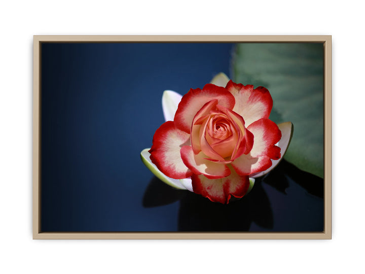 Lily Flower Painting  2 