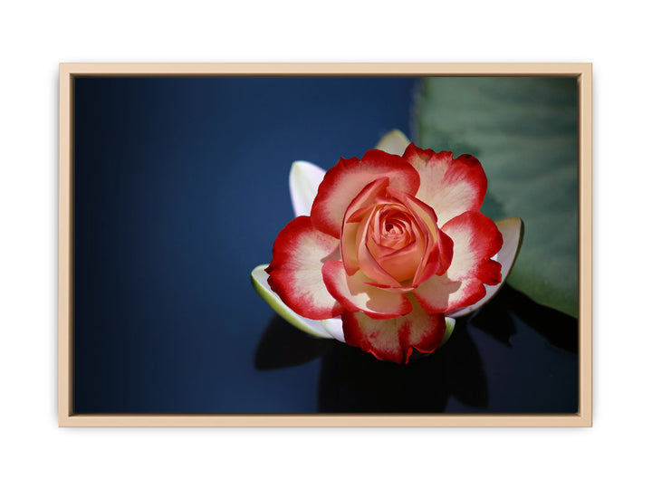 Lily Flower Painting  2 