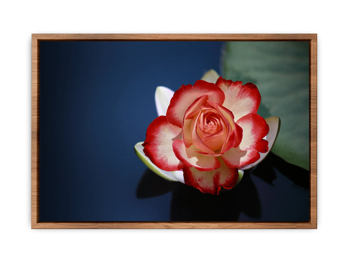 Lily Flower Painting  2 
