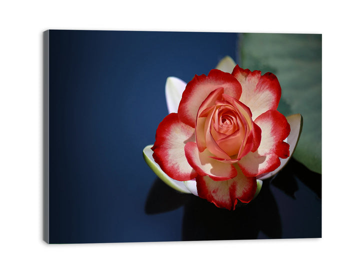 Lily Flower Painting  2 