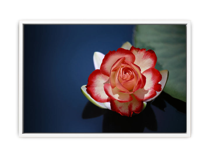 Lily Flower Painting  2 