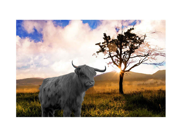 Highland Cow In Farm Painting