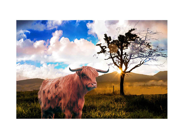 Highland Cow Painting