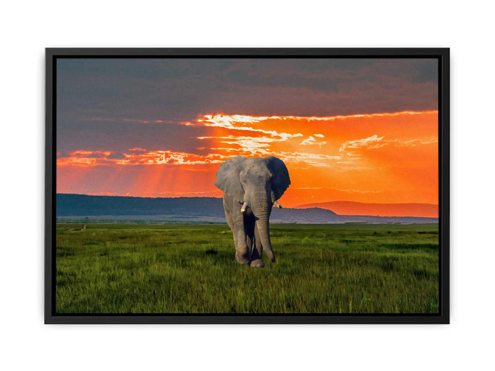 Elephant Art Painting 