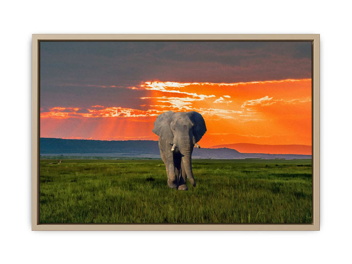 Elephant Art Painting 