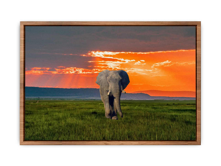 Elephant Art Painting 