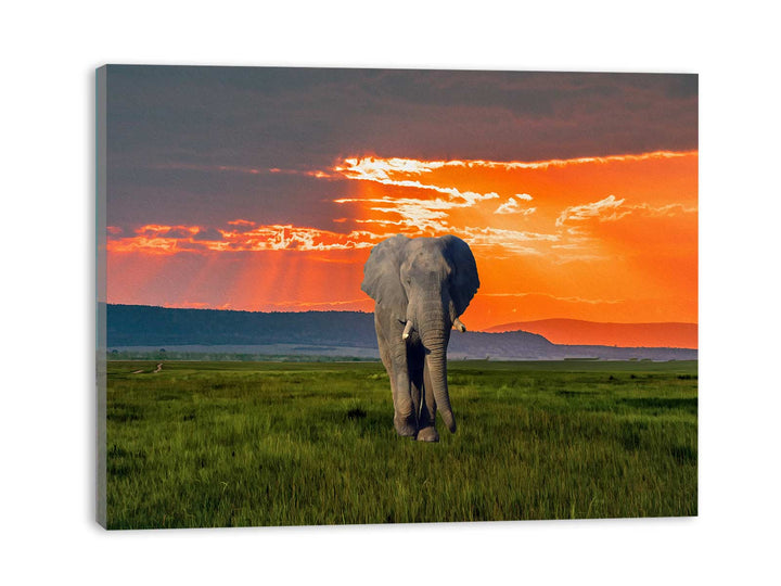 Elephant Art Painting 