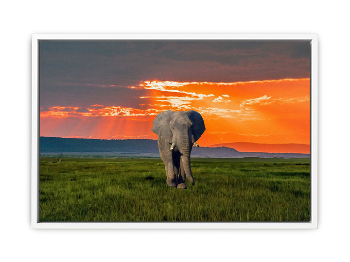 Elephant Art Painting 