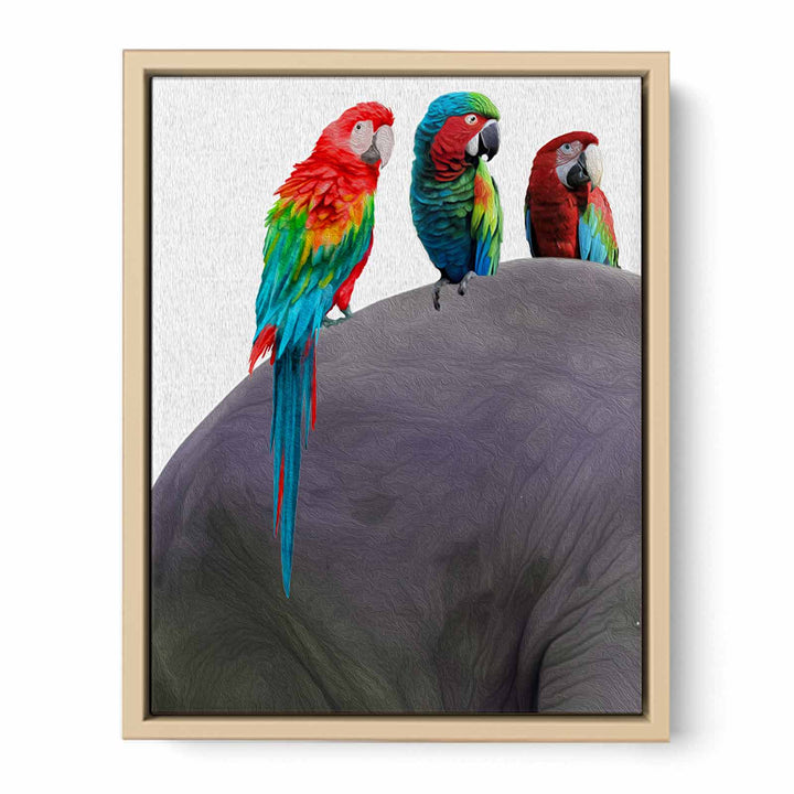 Australian Parrot Painting 