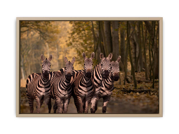 Dazzle Zebra Painting 