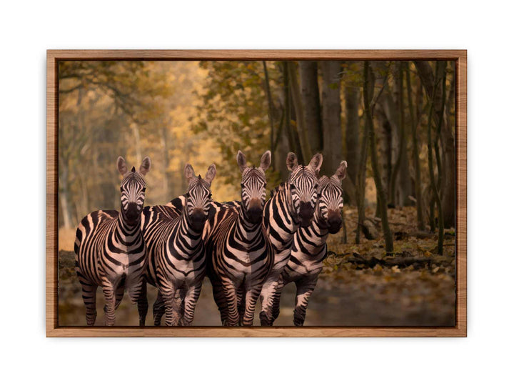 Dazzle Zebra Painting 