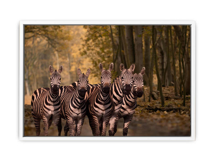 Dazzle Zebra Painting 